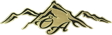 Öz Altındağ Group logosu